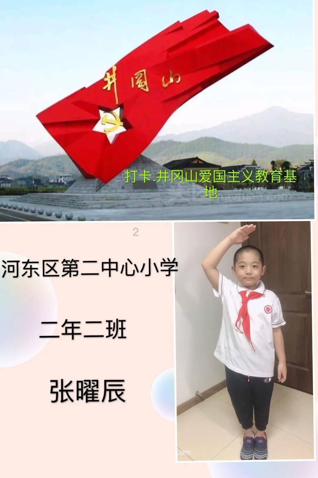 探索瓷砖胶选哪种型号?,共享与学习的知识星球平台